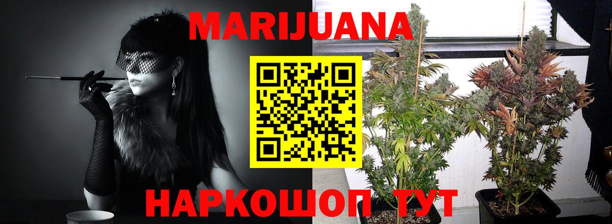 Бошки марихуана сатива  Вход с VPN  Новороссийск  Марихуана Bruce Banner  Шишки марихуана гибрид 
